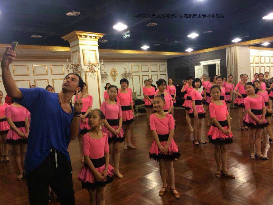 专业化基础艺术教育课程